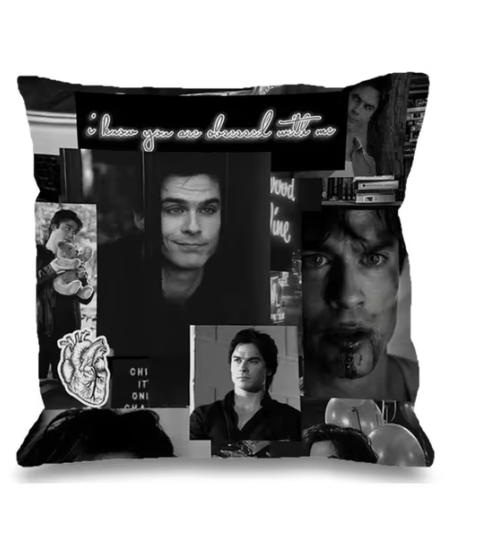 The Vampire Diaries Pillow Cases